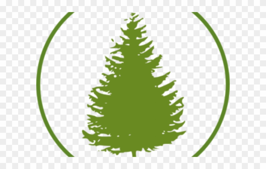 Circle Clipart Forest - Clipart Pine Trees Black And White - Png Download