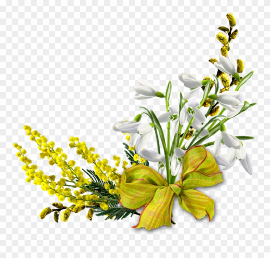 #corner #flowers #mimosa #yellow #white #sring #springflowers Clipart