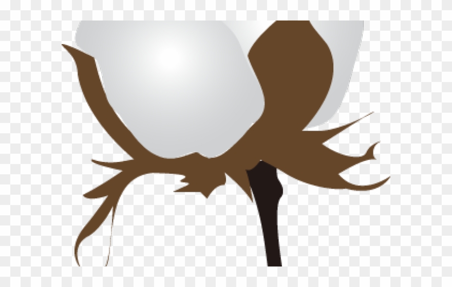 Cotton Clipart Transparent - Png Download