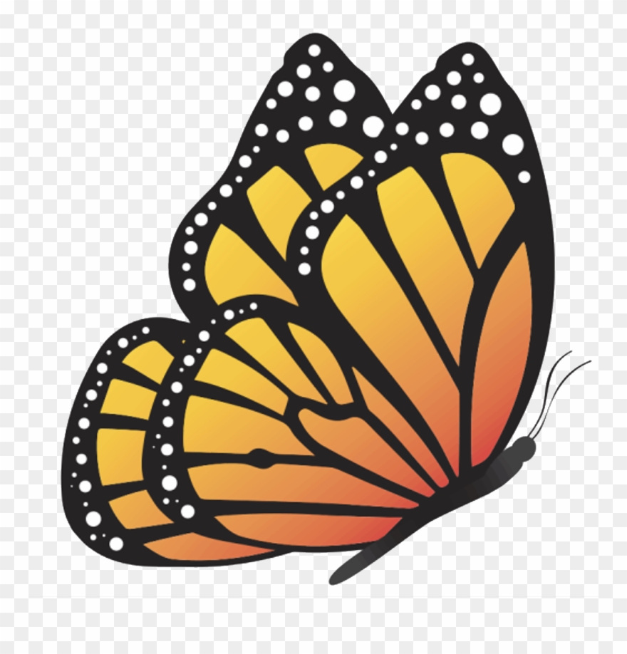 Kansas City Neighborhood Academy - Monarch Butterfly Clipart
