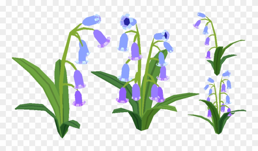 Bluebells Their Leaves Actually Look That Generic - Iris Versicolor Clipart