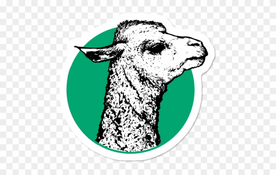 Pride Of The Llama - Arabian Camel Clipart