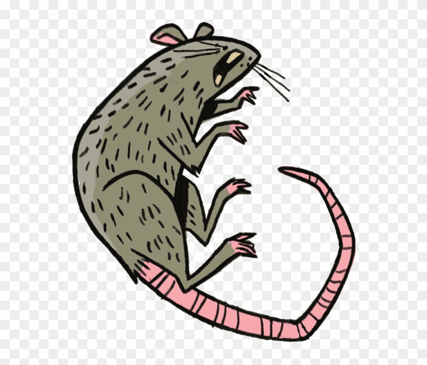 Animal House Clipart