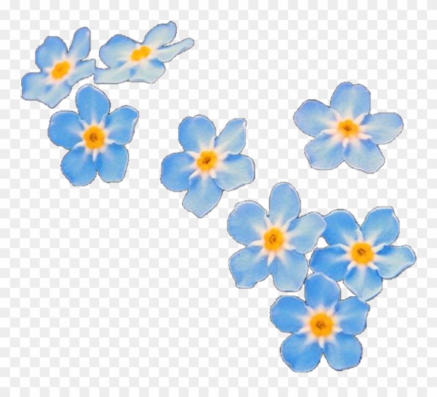 Download Overlay Overlays Flower Flowers Blue Editinghelp Forget Me Not Flowers Transparent Clipart 4151429 Pinclipart