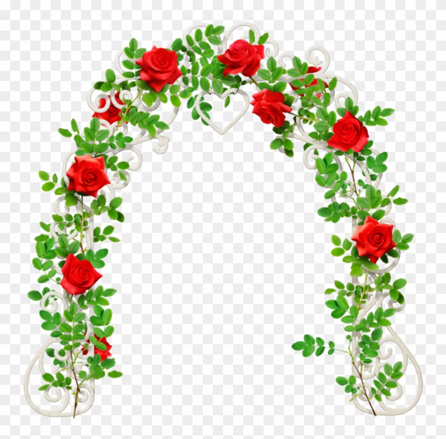 Garden Roses , Png Download Clipart
