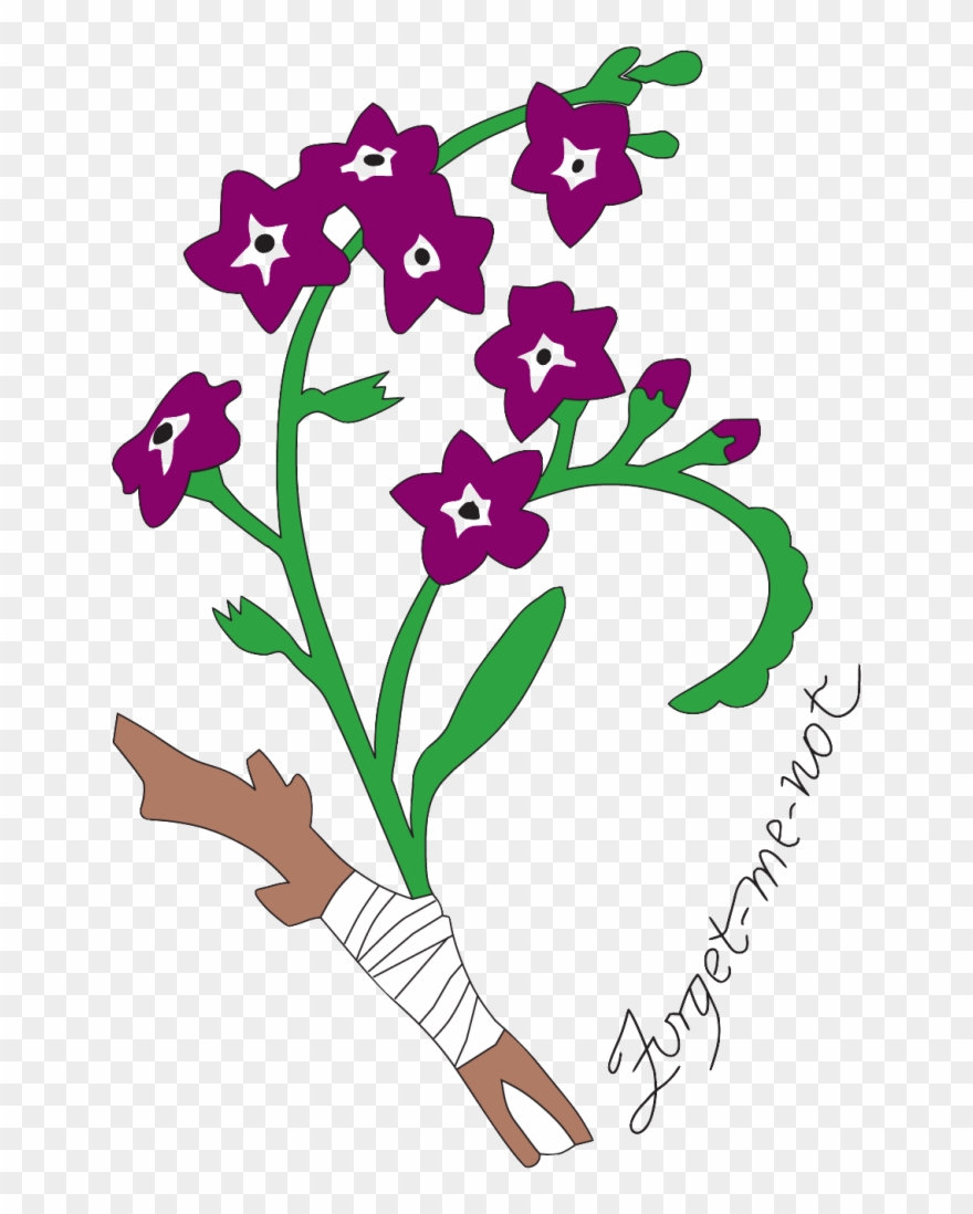 17545259 10154298993521957 1398826258739606797 O-687x1024 - Orchid Clipart