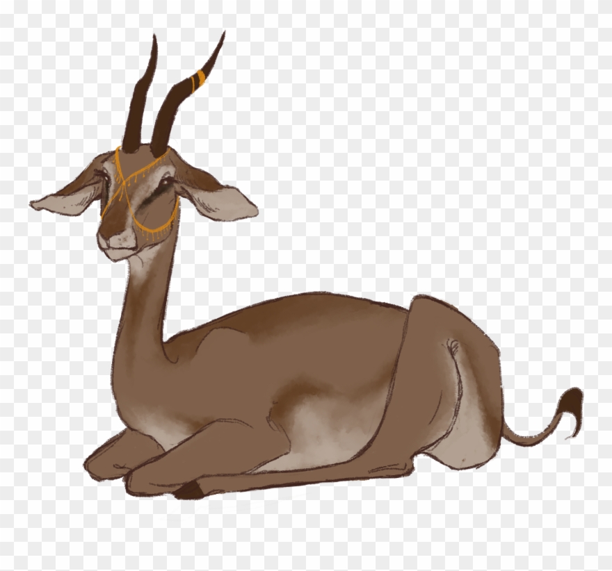 Phyrra - Thomson's Gazelle Clipart