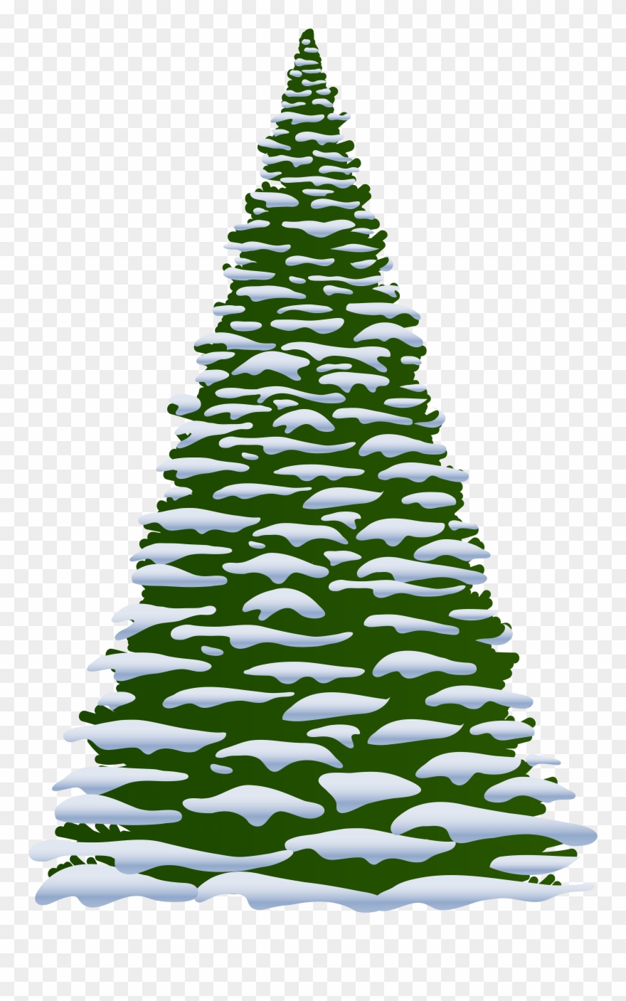 Winter Pine Tree Clipart & Clip Art - Winter Trees Clip Art - Png Download