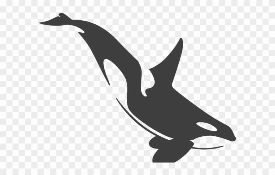 Orca Clipart Simple - Orca Graphic - Png Download