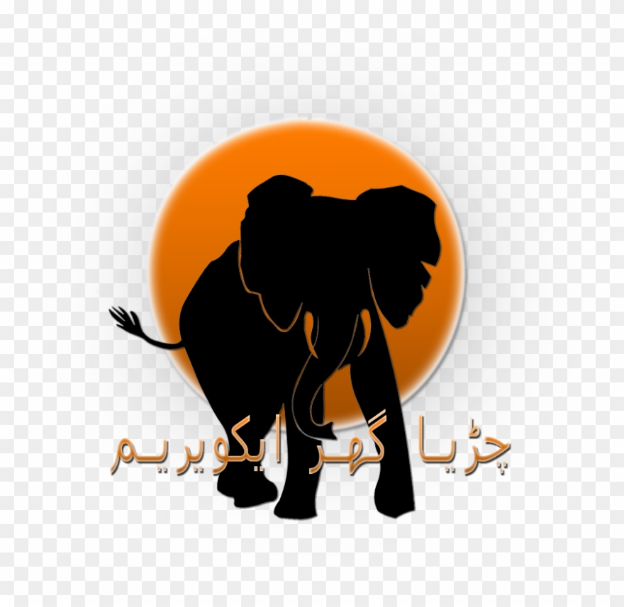 Gonna Make My Own Tomorrow) This Is Only A Teaser, - Elephant Silhouette Clipart
