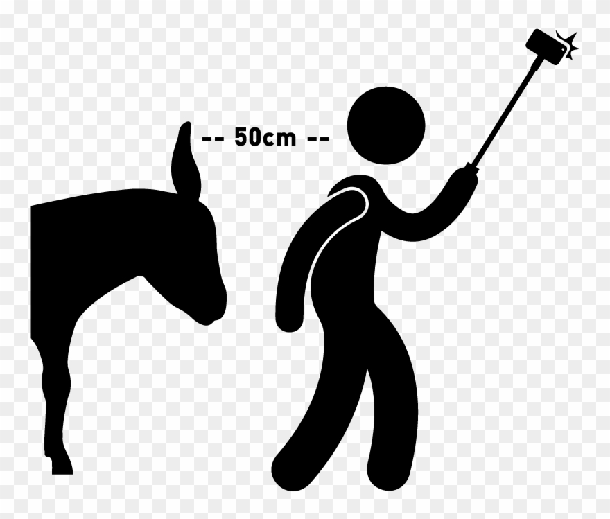 Walk The Dog Icon Clipart