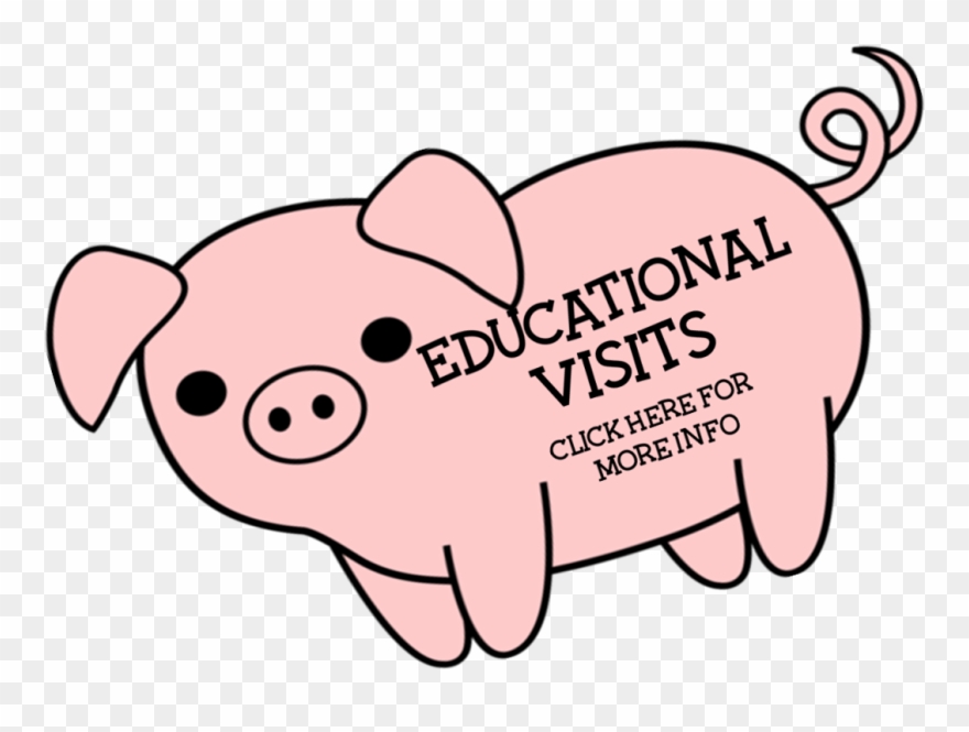 Birds Of Prey Experience From Just £20 - Clip Art Black And White - Png Download