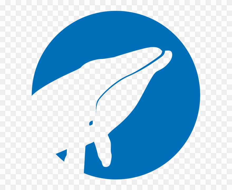 Contacts - Whale Clipart