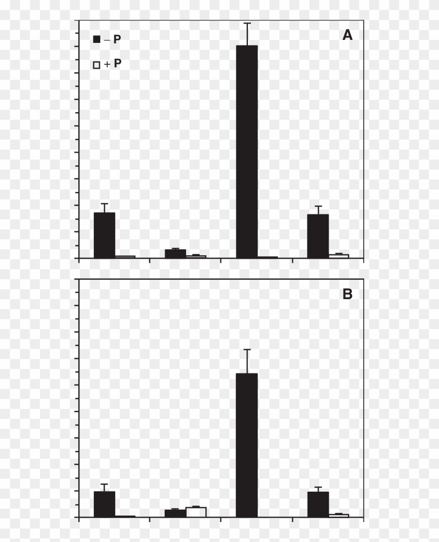 Effect Of P Supply On Transcript Levels Of Hvips1 And Clipart