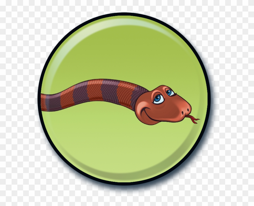 Fun Fact Snakes Have Rows Of Teeth Clipart