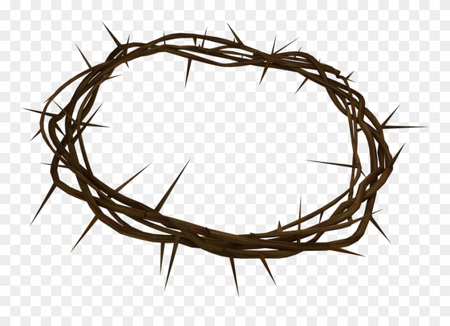 Crown Of Thorns Png Background - Coroa De Espinhos Png Clipart