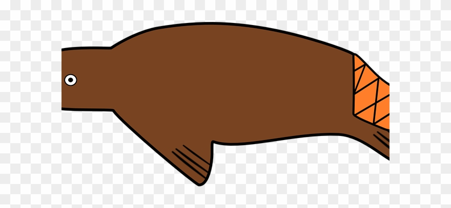 Science Clipart Protein - Png Download