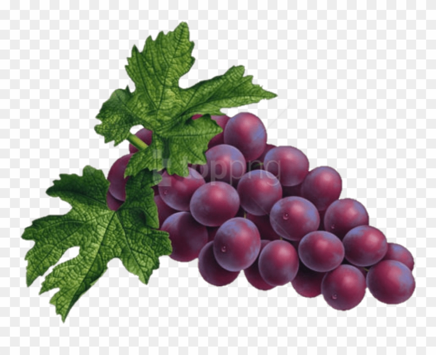 Download Free Png Red Grapes Png Png Fruits To Eat For Weight Gain