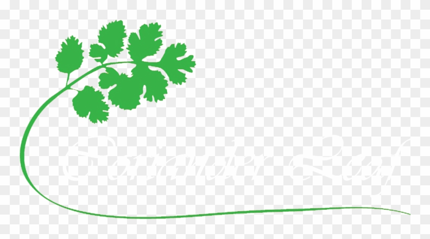 Coriander Leaf Simply Good Food Clipart