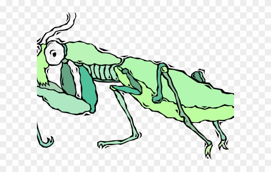 Praying Mantis Clipart Behind - Cartoon - Png Download