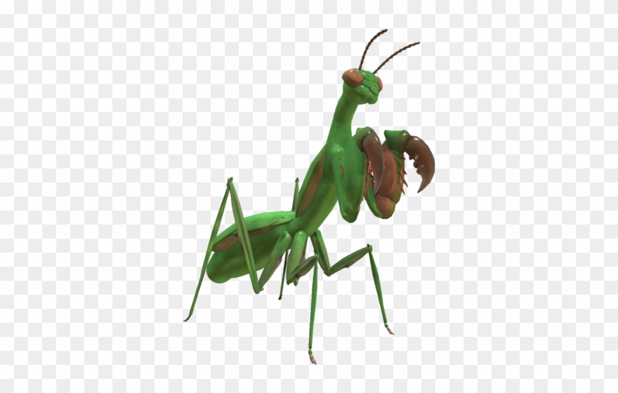 Praying Mantis Png - Praying Mantis Spore Clipart