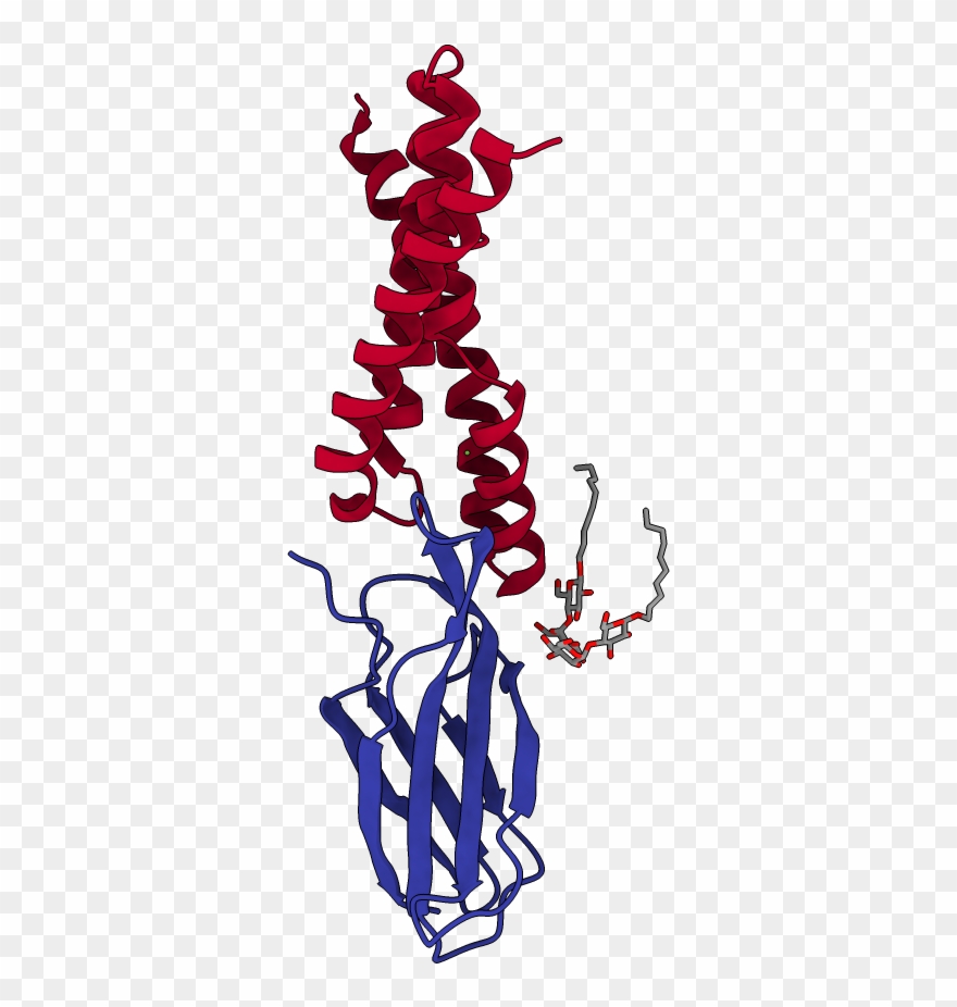 Chains Colored In Rainbow - Illustration Clipart