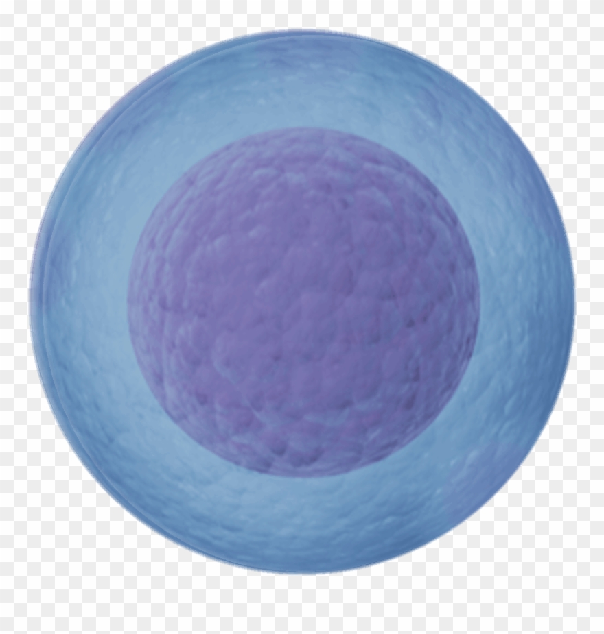 Connecting People To Improve Lives - Circle Clipart