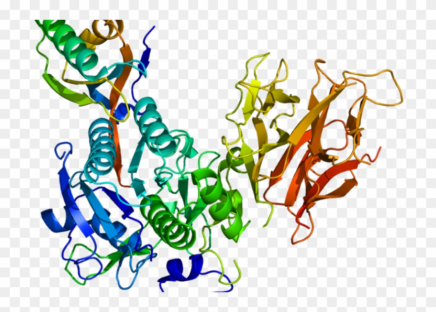 Recent News - Crystal Structure Of Pcsk9 Clipart