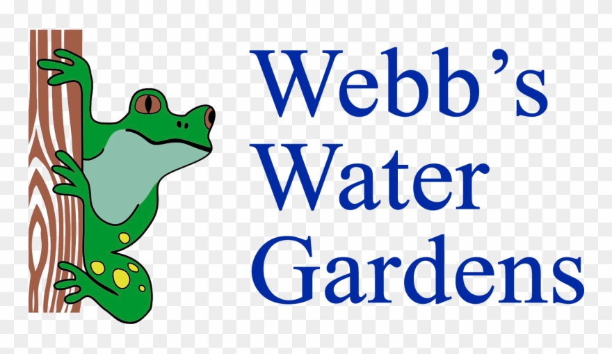 Google Shopping Logo 1500×750 Px - Wasa Kredit Clipart