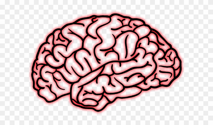 Art Brain Png Clipart