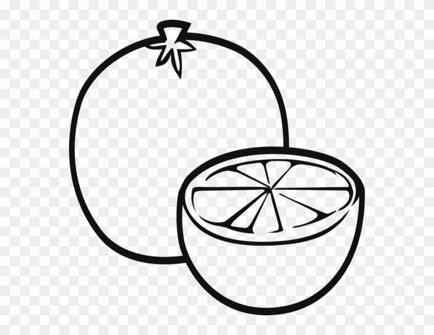 Line Drawings Of Fruit Fruit Line Drawing - Fruits Draw Pictures For Colouring Clipart