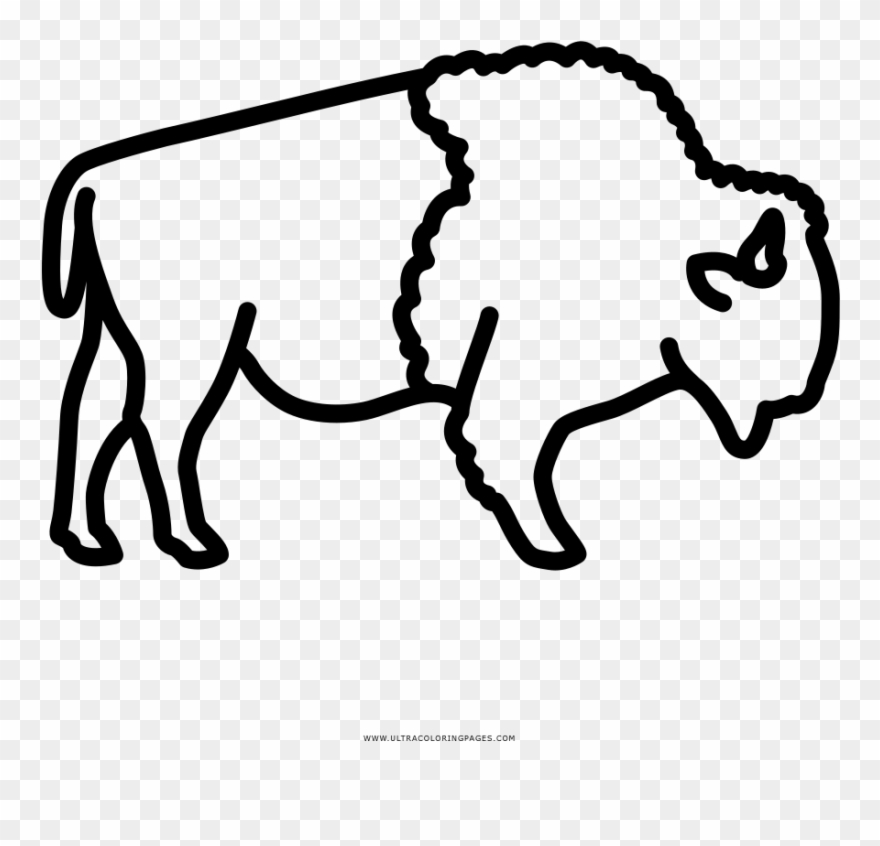 Buffalo Coloring Page Clipart