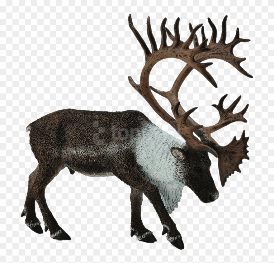 Free Png Download Reindeer Toy Figure Png Images Background - Collecta Caribou Clipart