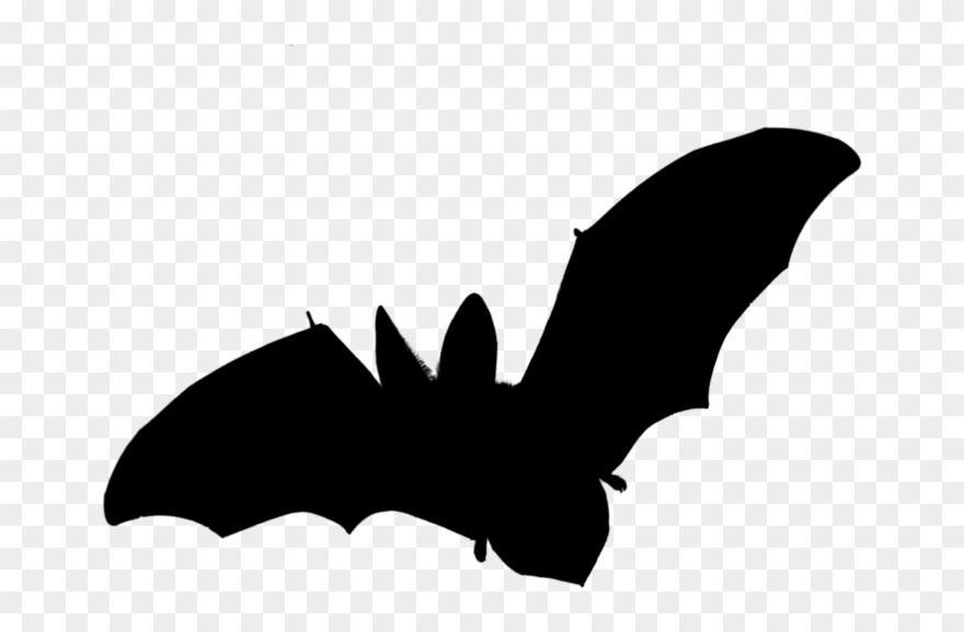 Bat1 - Fledermaus Bild Clipart