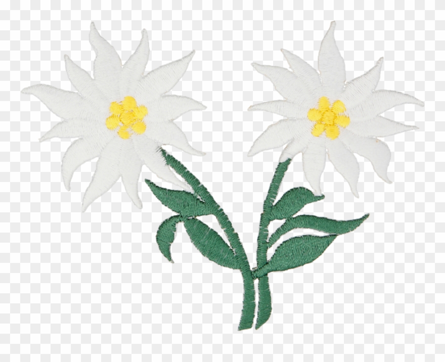 2e - 36 - C9 - 000785509016511 - Oxeye Daisy Clipart