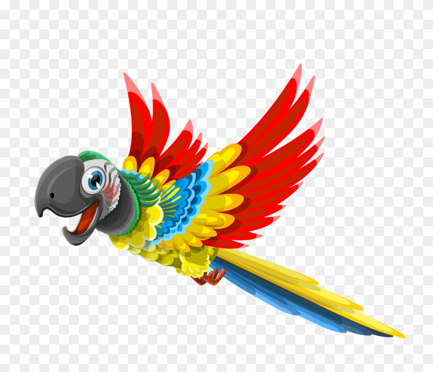 Parrot No Background - Happy Birthday Card Parrot Clipart