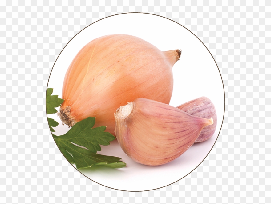 Alcohol Is Metabolized Into Acetic Acid Clipart