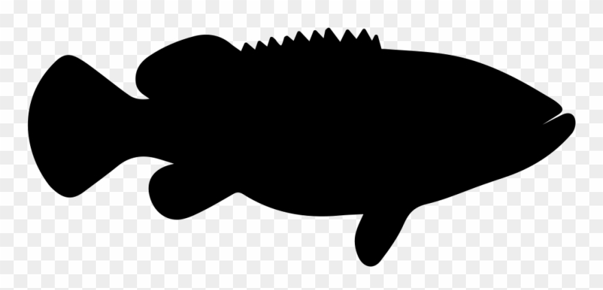Goliath Fish Shape Svg Transparent Background - Grouper Svg Clipart