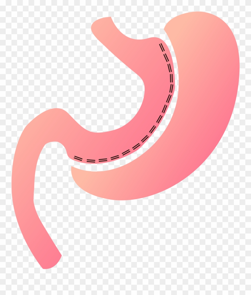 Artboard 46@300x - Illustration Clipart