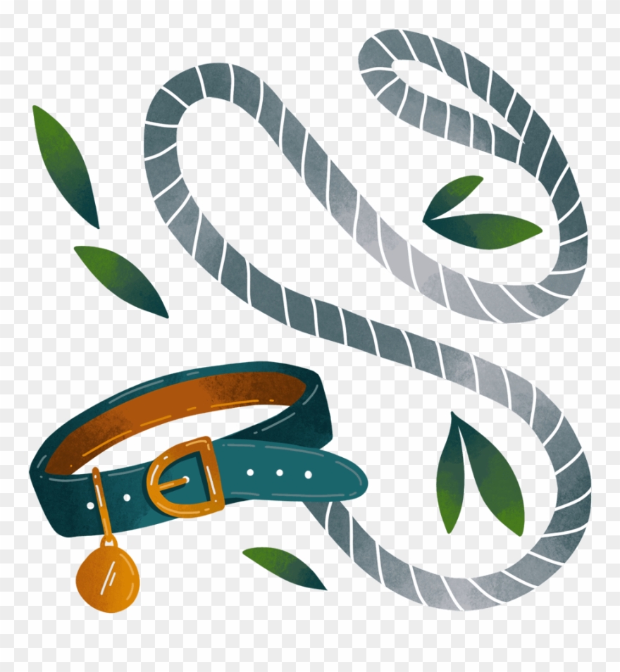 Dog Walking Cardiff Lead And Collar - Illustration Clipart