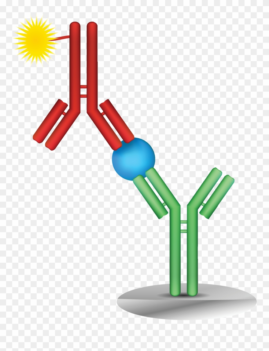 Meso Scale Discovery Ecl Technology Overview - Counting Immunoassays Clipart