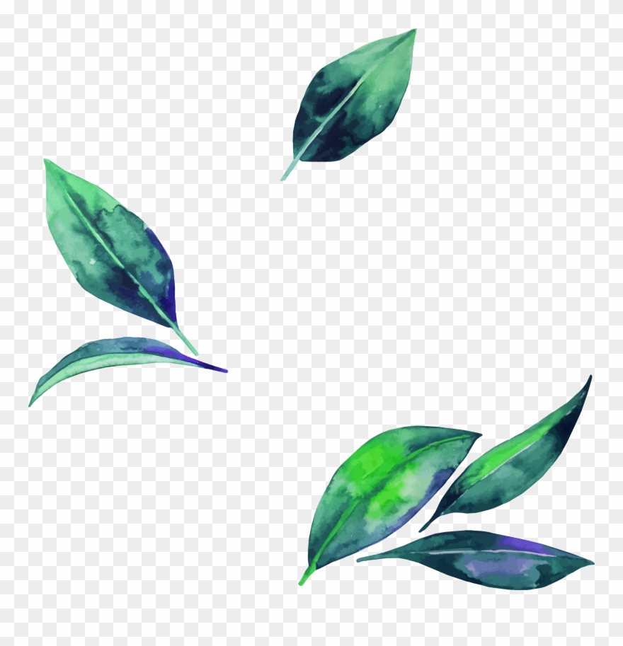 Watercolor Leaf Clipart