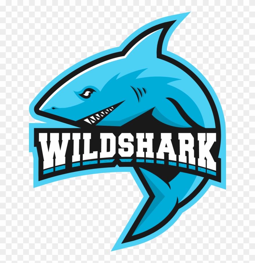 I Will Design Logo And Brochure What You Want - Great White Shark Clipart