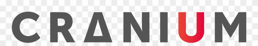 International Consulting Company In Privacy, Security - Cranium Nv Clipart