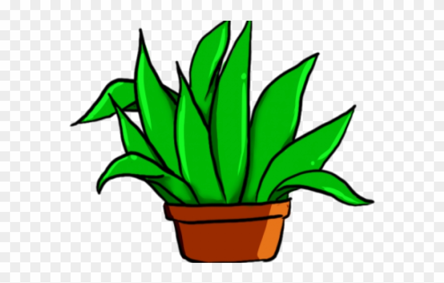 Aloe Clipart Herb Plant - Png Download