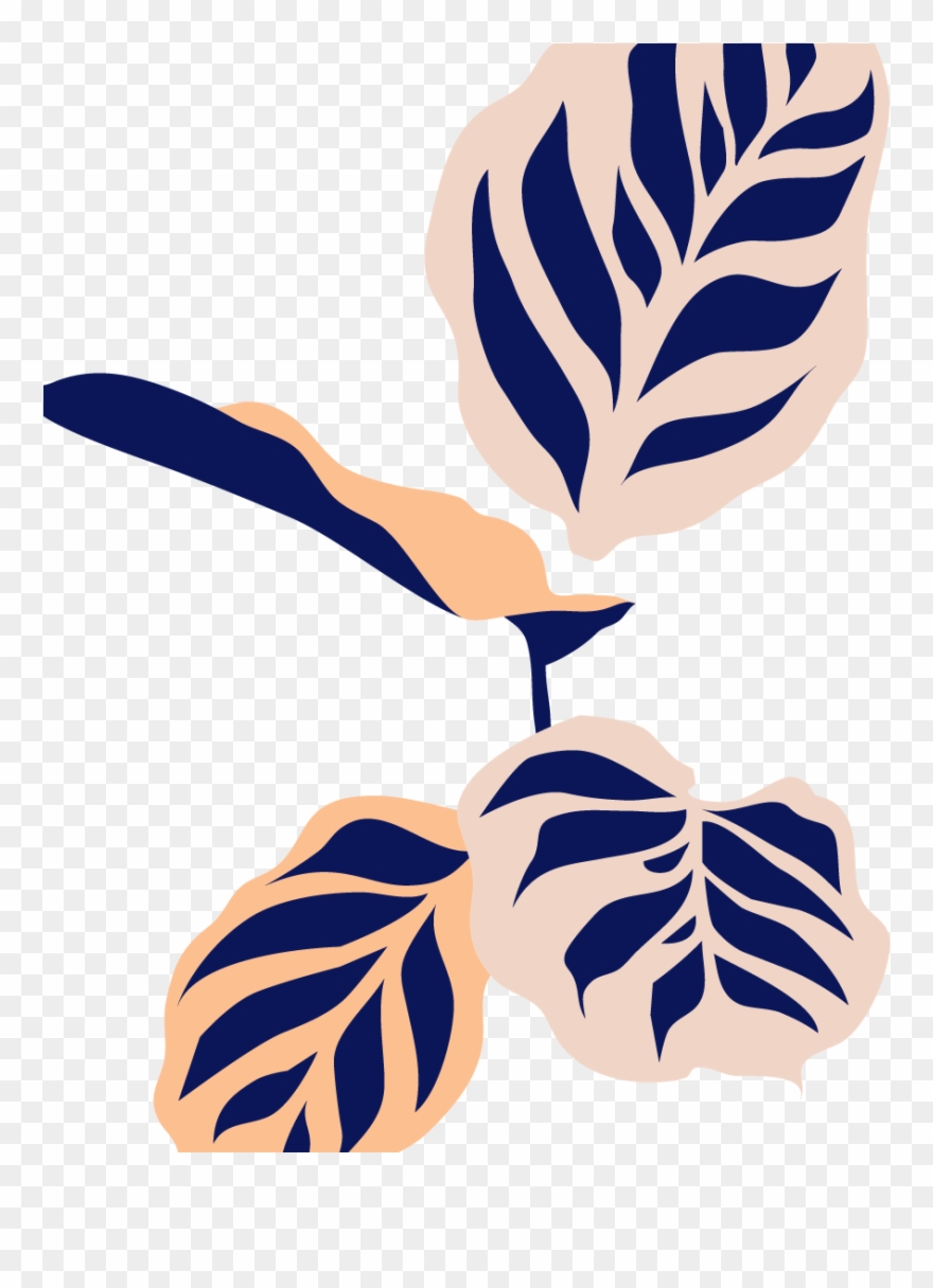 Botanical Name Clipart