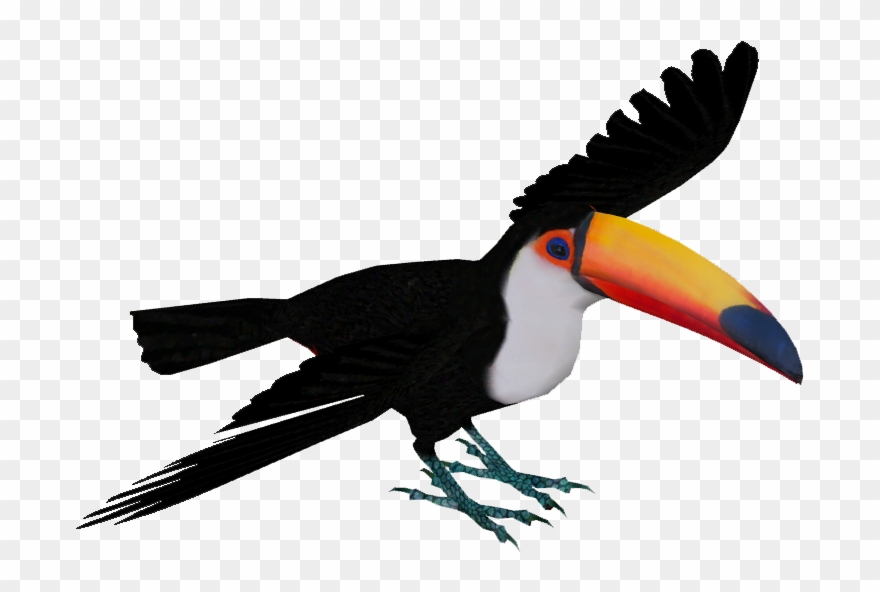 Toucan Png - Toco Toucan Png Clipart