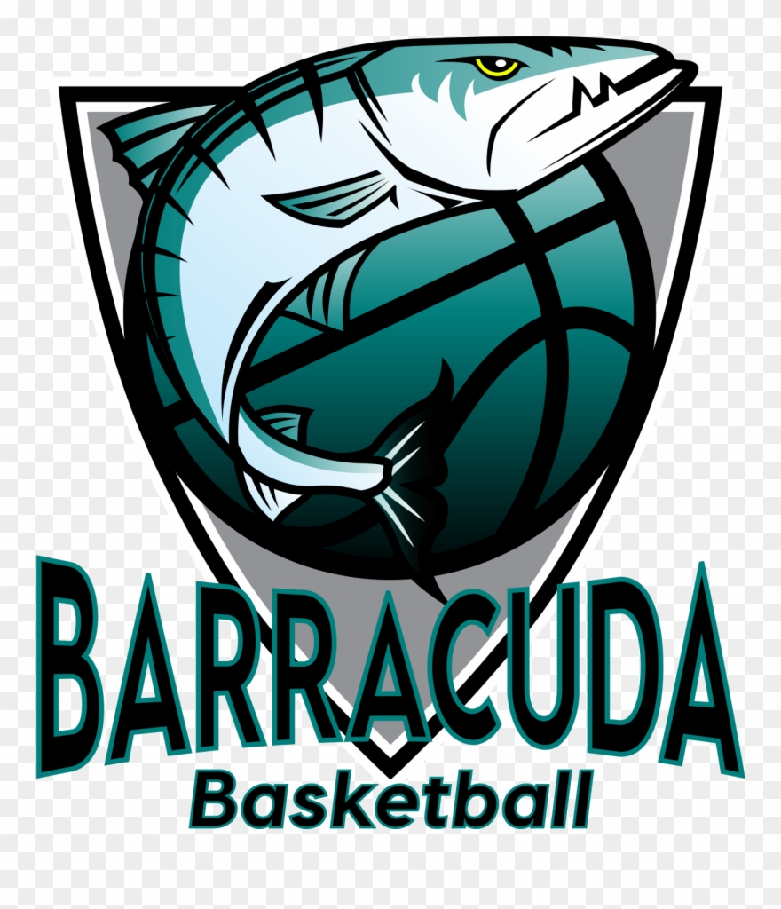 Barracuda Basketball - Barracuda Basketball Logo Clipart