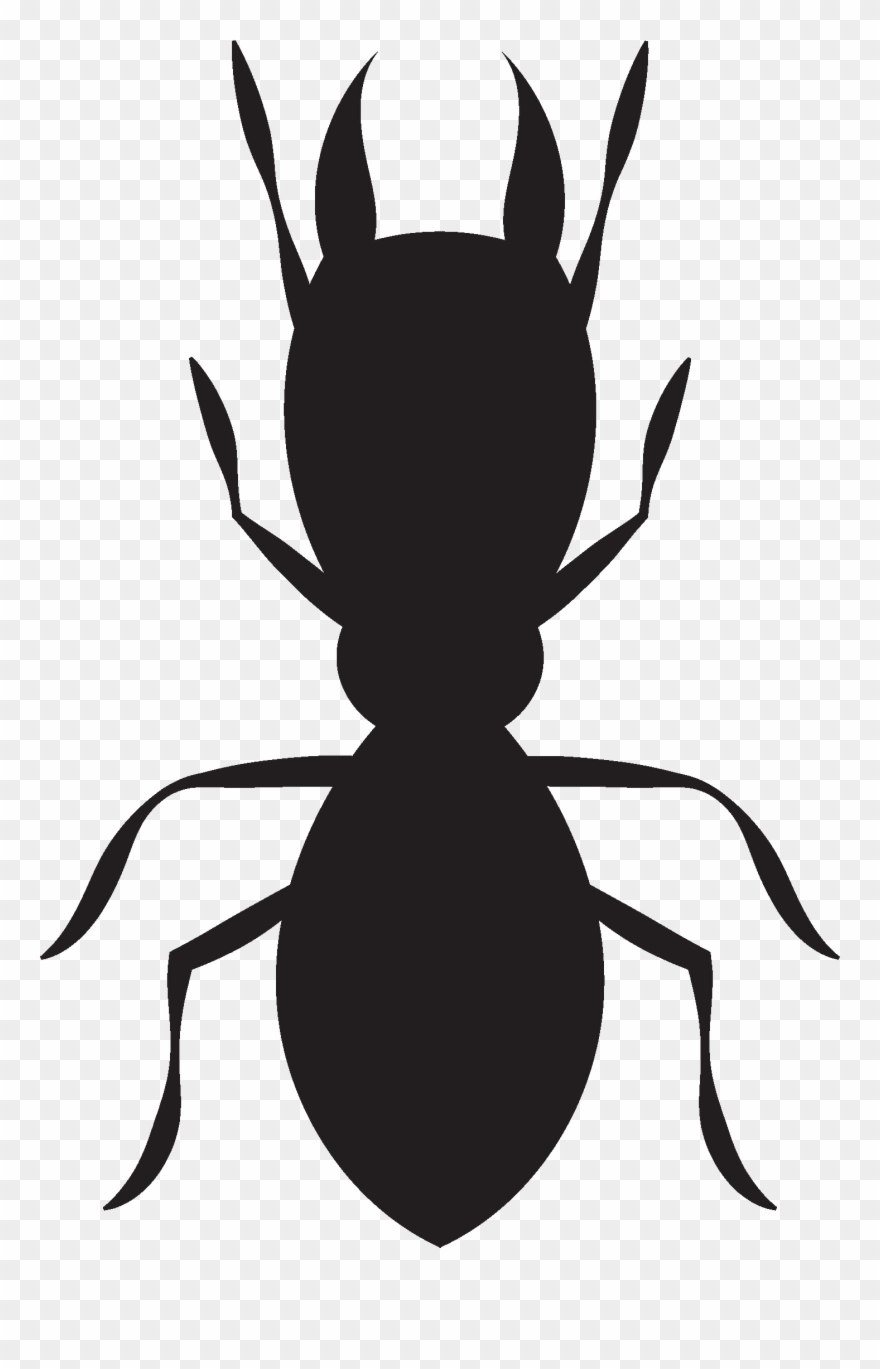 Termite - Ant Clipart