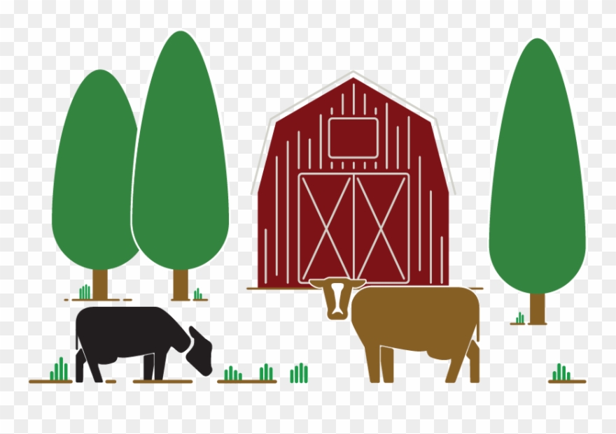 Cows Grazing On Farm - Illustration Clipart